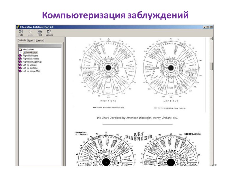 Компьютеризация заблуждений 118